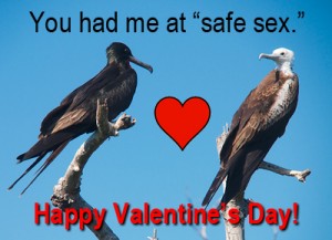 You had me at Safe Sex