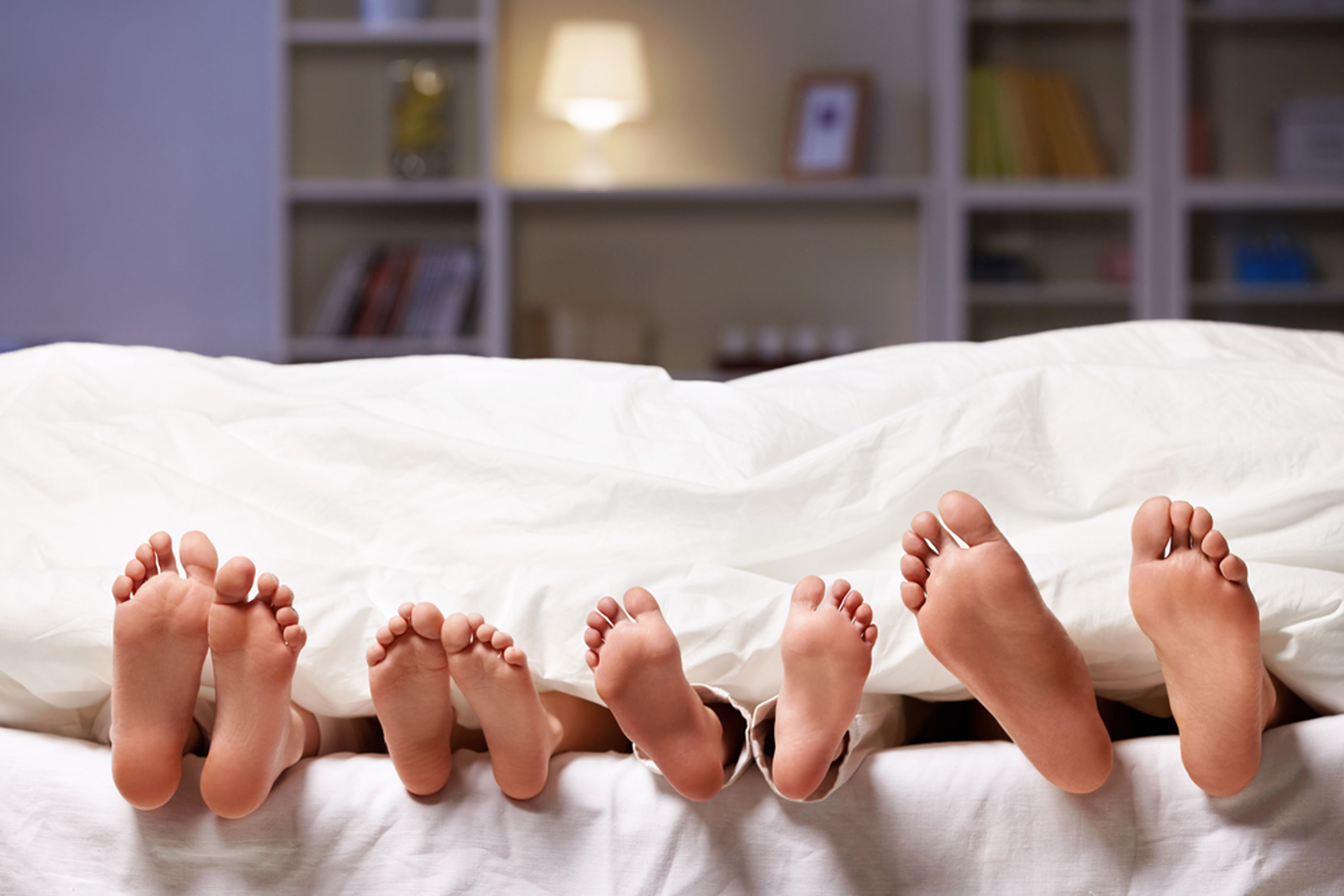 Family feet. Ноги из под одеяла. Ноги торчат из под одеяла. Ноги семьи в кровати. Много ног.
