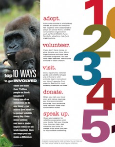 10 ways to get involved