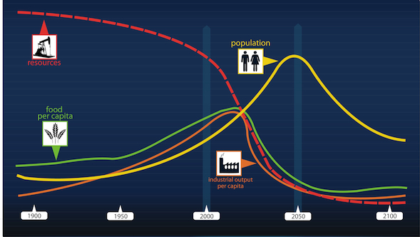 Limits to Growth, Business as Usual Scenario