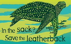 Leatherback