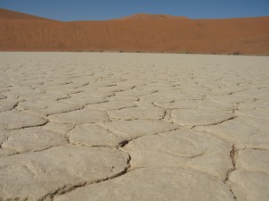 Parched Earth