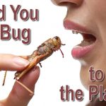 Would You Eat a Bug to Save the Planet?
